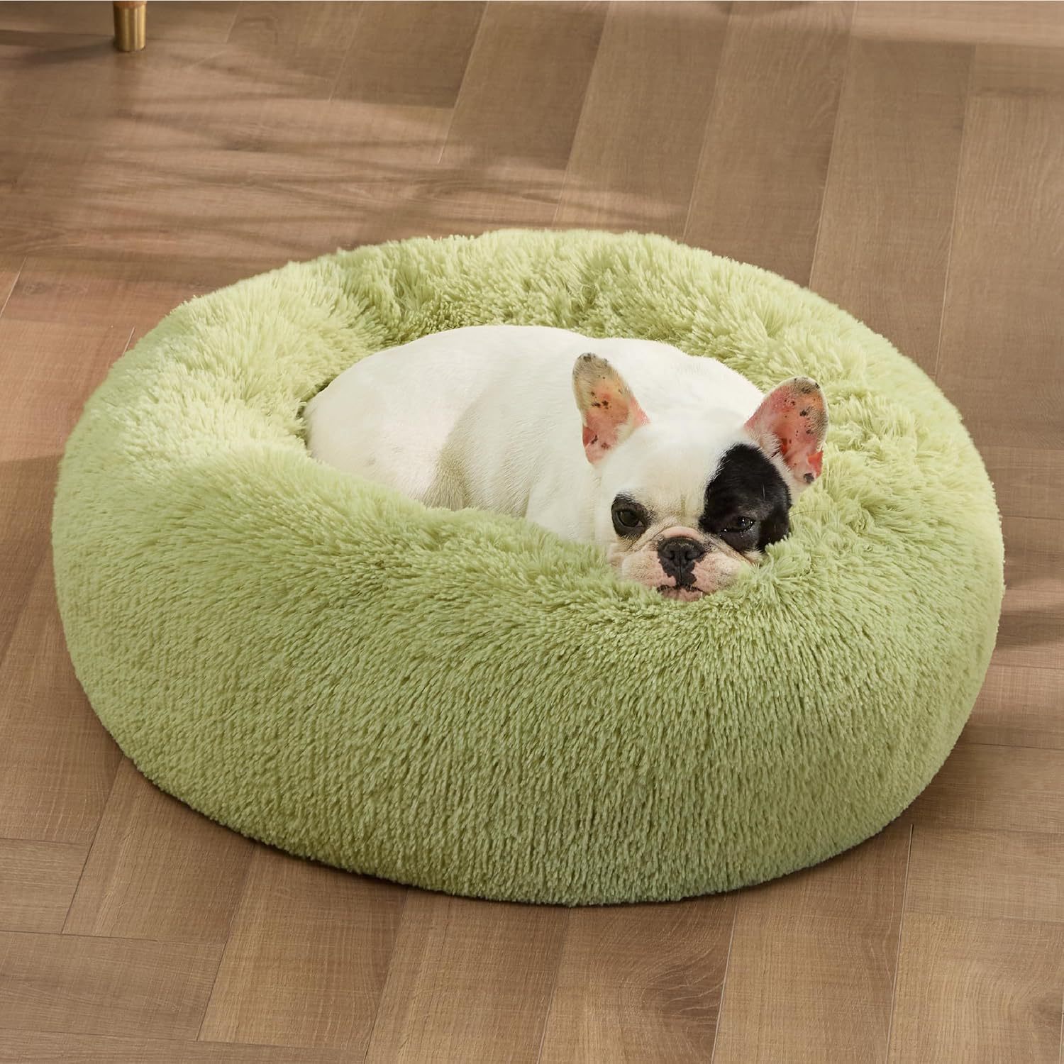 Cozy pet bed