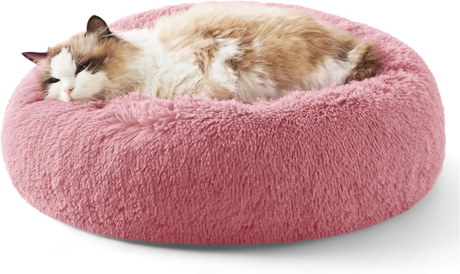Cozy pet bed