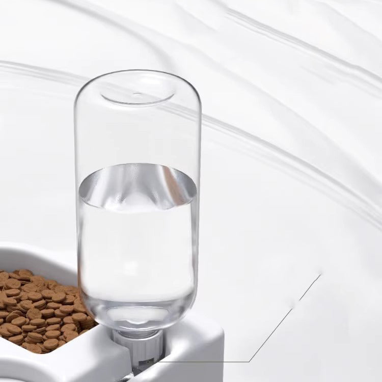 automatic water and kibble dispenser for cats