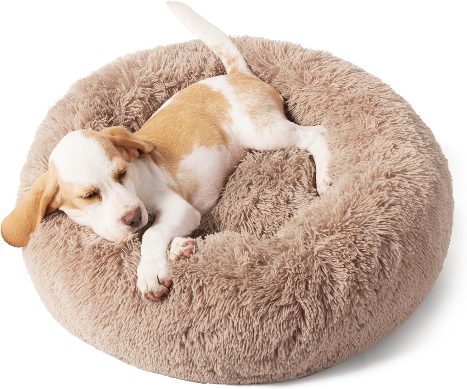 Cozy pet bed