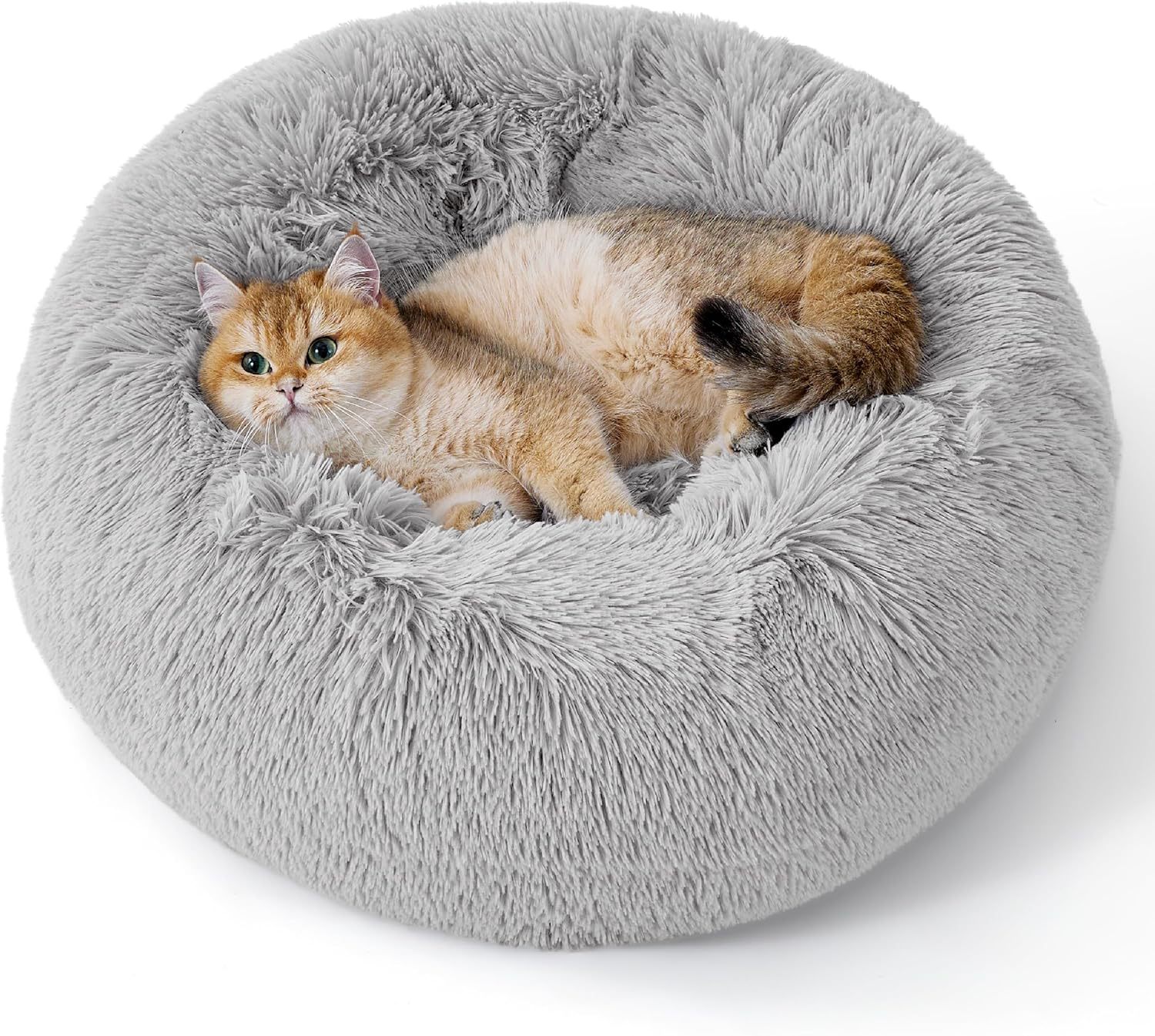 Cozy pet bed