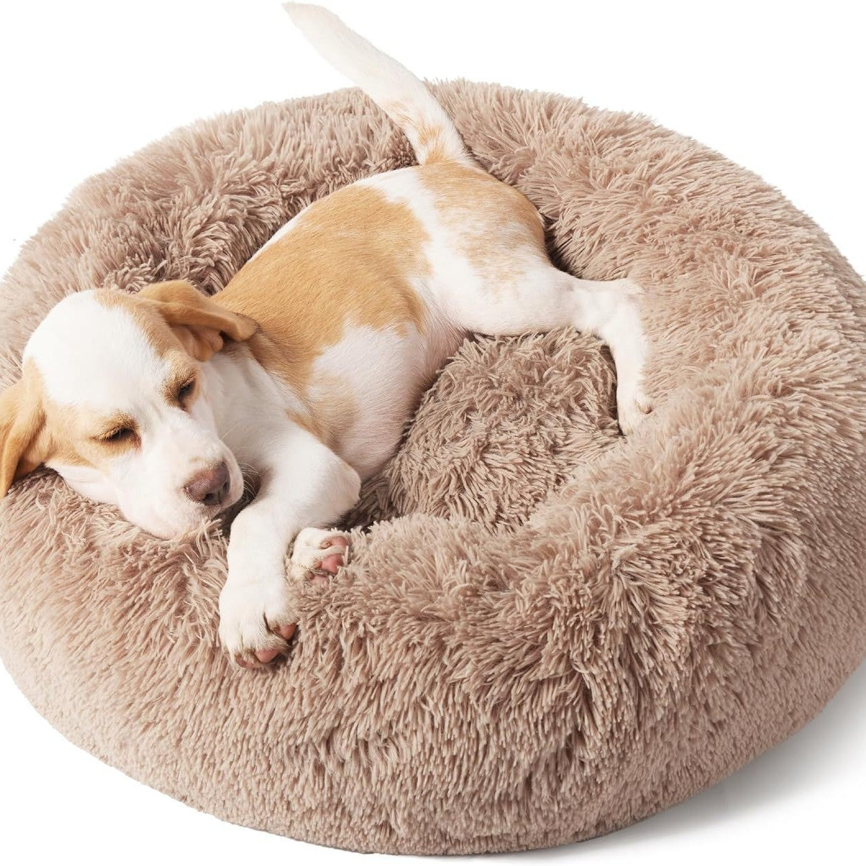 Cozy pet bed